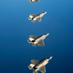 Illustration for article titled We Finally Know Why An F-35 Burned On The Runway